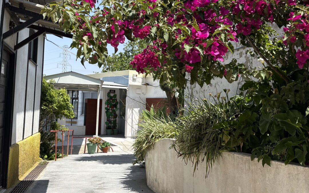 Artigo de atividade de teste